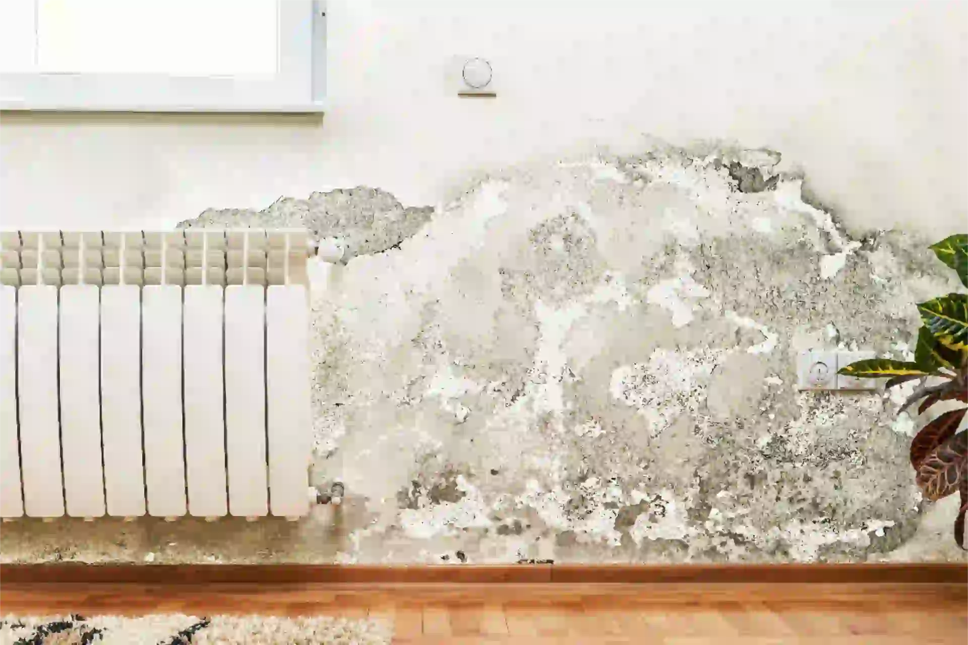 Diagnostic humidité à Objat